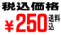 税・送料込み価格250円