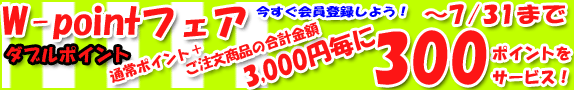 ���������z3000�~����300�|�C���g�v���[���g