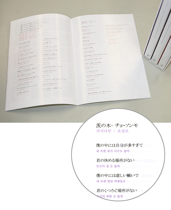 【韓国ミュージックDVD】 LOVER-THE KOREAN BEST MUSIC VIDEO(DVD3枚組)