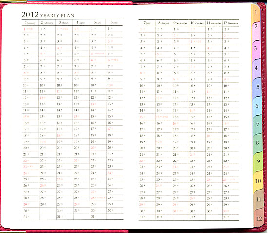 2013年 韓国スケジュール手帳(レディースM)