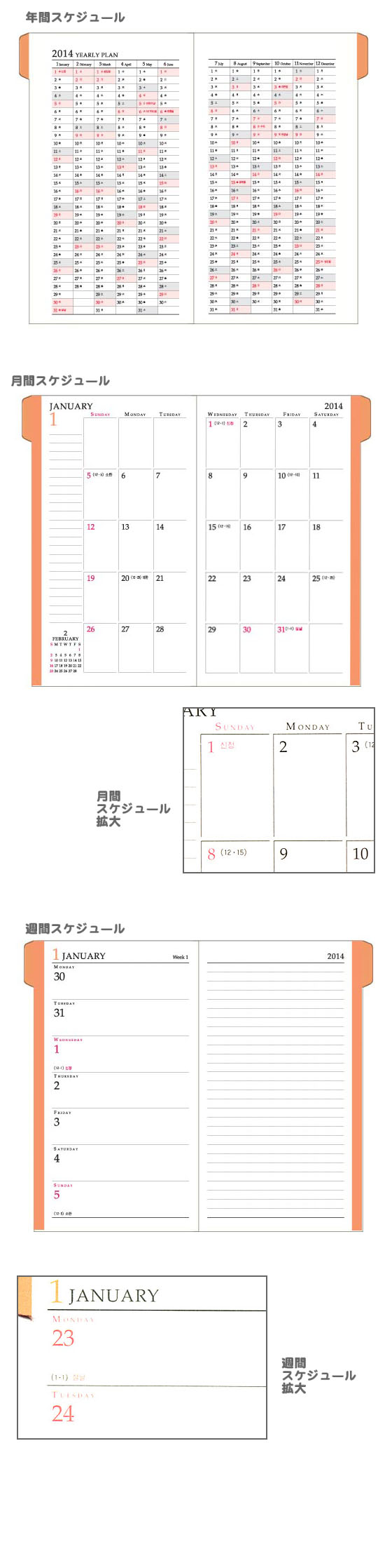 2018N@؍XPW[蒠@fB[X