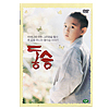 韓国映画　童僧　DVD