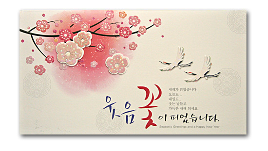 ؍̔NiO[eBOJ[hjX֕Zbg@CD