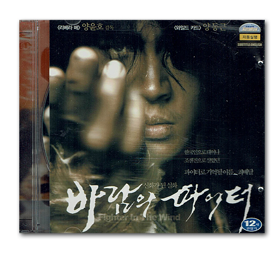 韓国映画 ビデオCD(風のファイター)