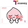 カカオフレンズ Tmoneyカード