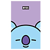 BT21@N_CA[