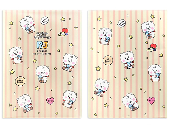 BT21 クリアファイル LITTLE BUDDY 20P