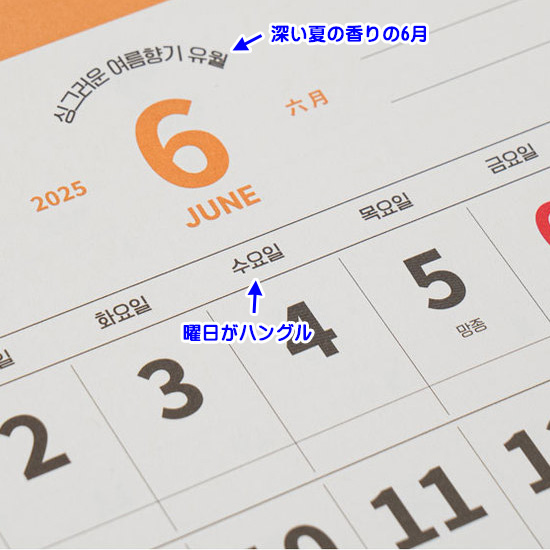 2025N@؍@N@J_[