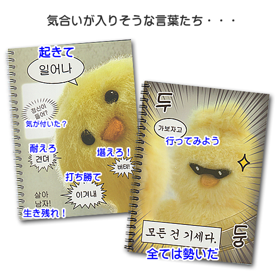 ハングル 打ち勝て リング ノート