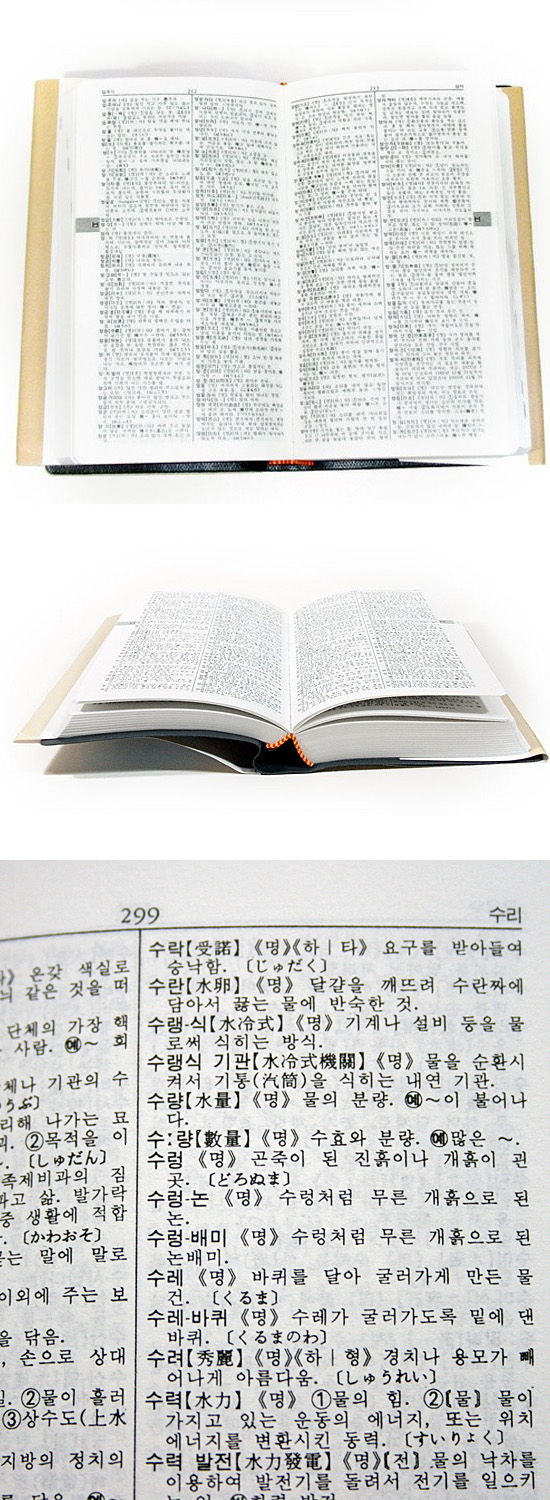 【韓国辞書】ニューエース 国語辞典(サムソン書館)